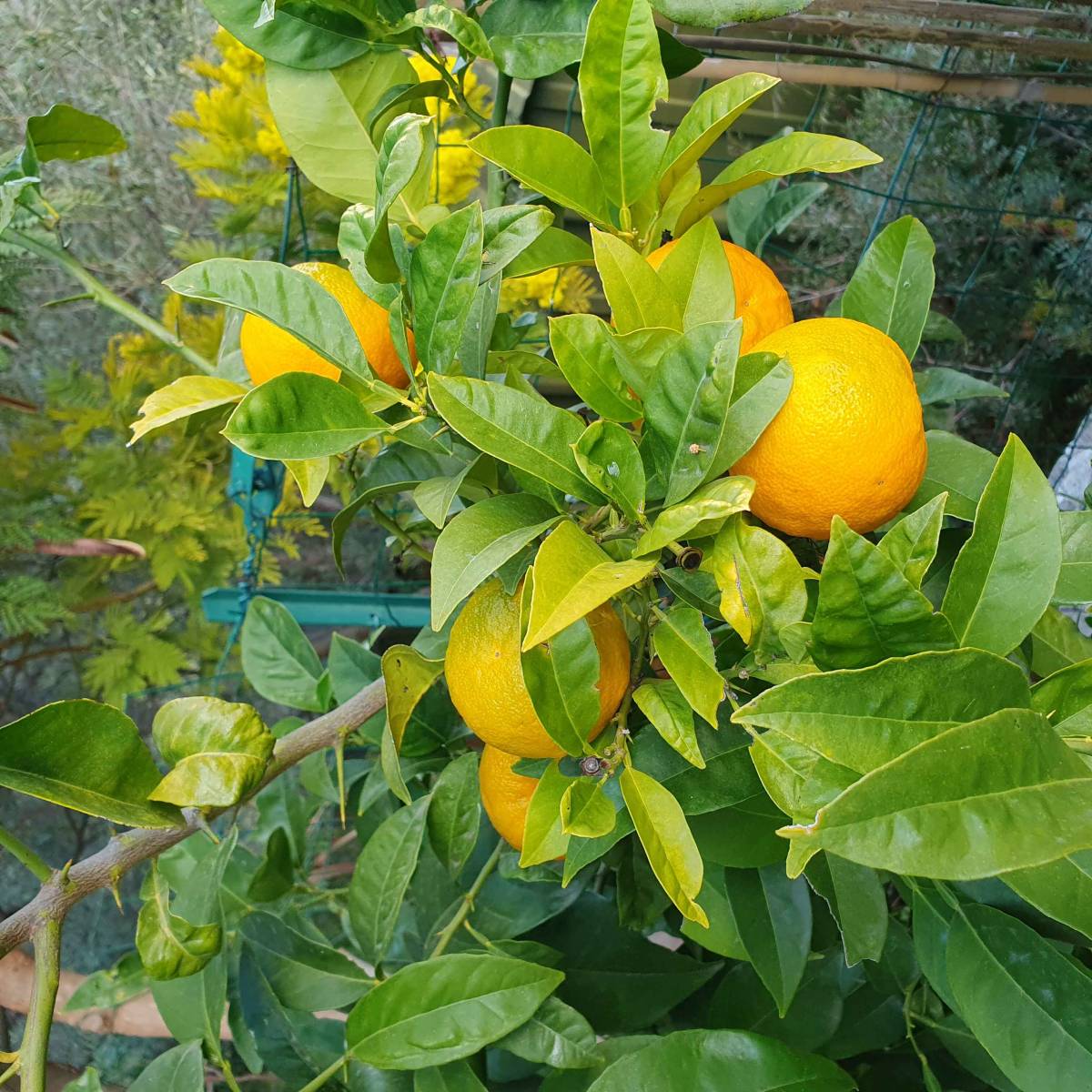 Location saisonnière d'appartement tout équipé et climatisé à Bandol 83150 dans le Var