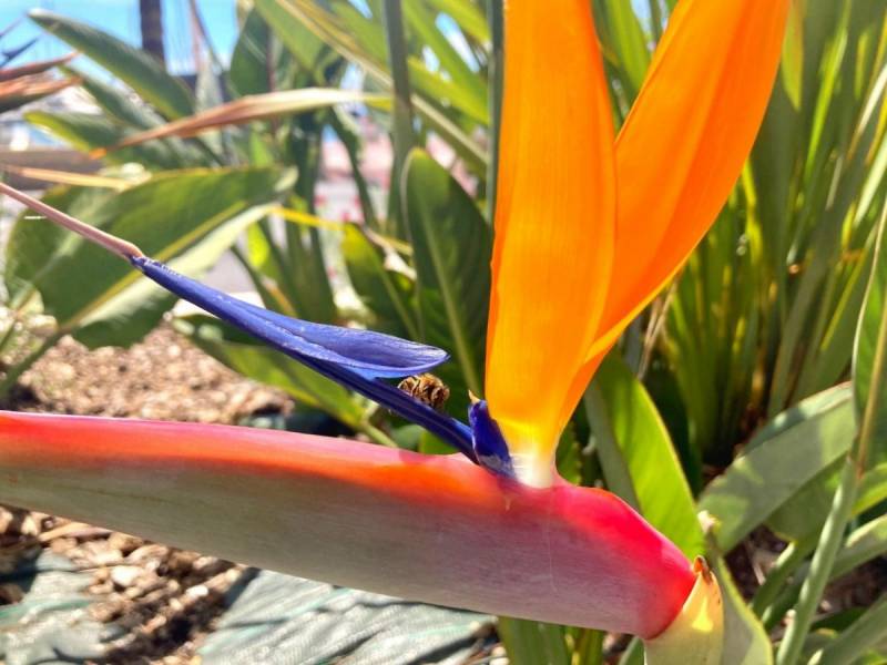 Bandol locations vacances et locations saisonnières