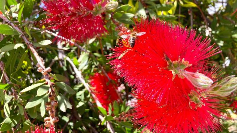 Location de vacances Bandol