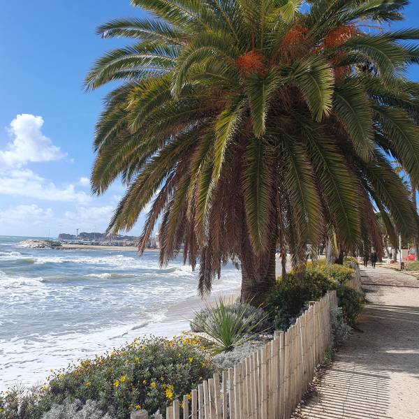 gite climatisé pour 2 personnes dans le sud de la France avec piscine