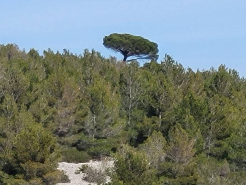 partir en juin au bord de la mer et louer un gite climatisé avec piscine et parking
