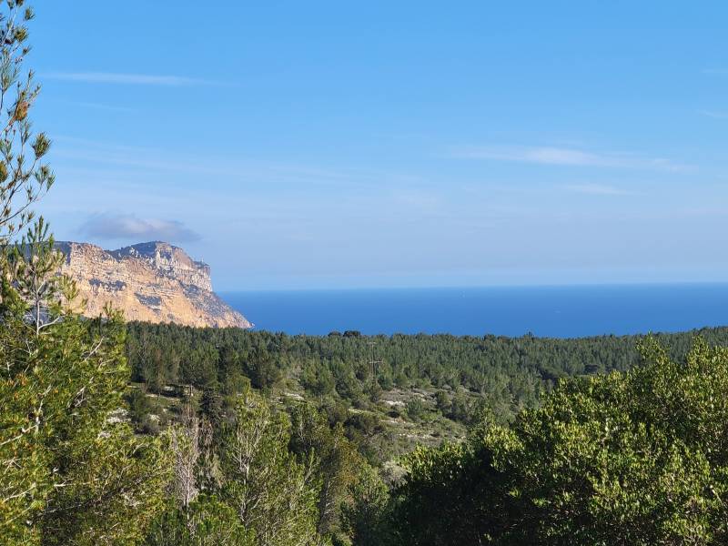 Randonnée dans le Parc national des calanques au départ de Cassis