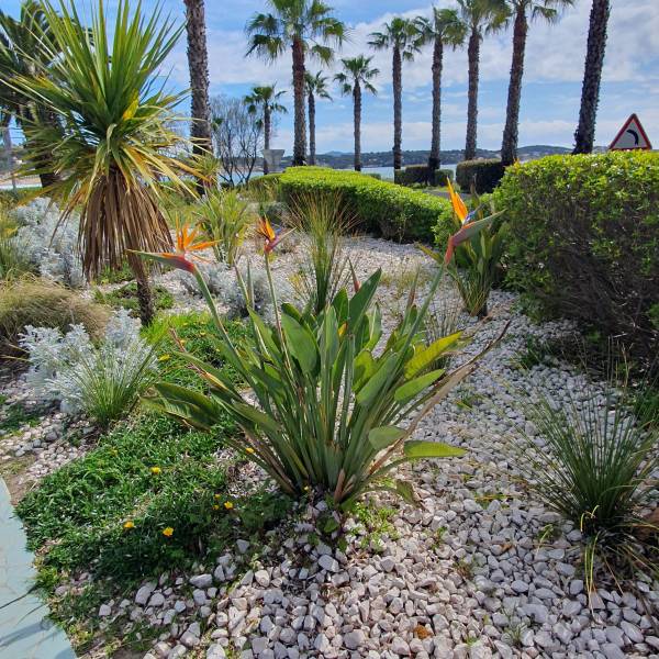 location dans le Var pour les vacances en juin près de Marseille