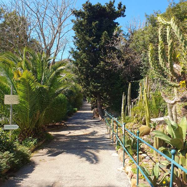 où partir en juillet à coté de six fours et de Sanary entre amis