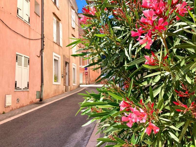 Bandol location vacances avec piscine