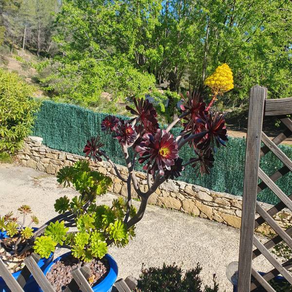 trouver un appartement en France