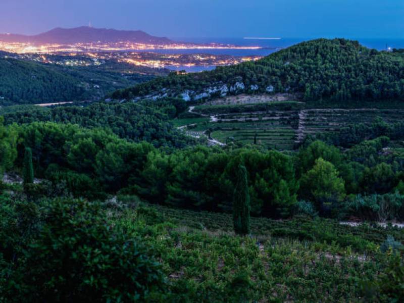 Location d'appartement de vacances avec services près de Bandol dans le Var (83)