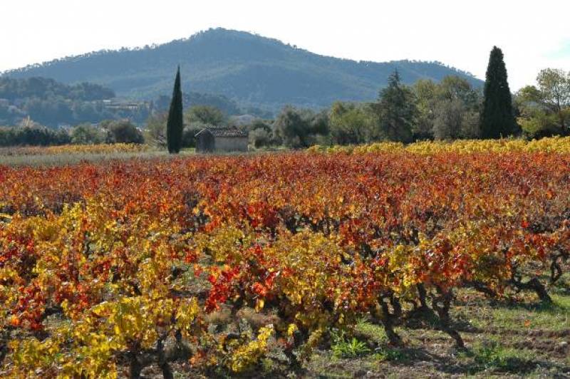 Location d'appartement de vacances avec services près de Bandol dans le Var (83)