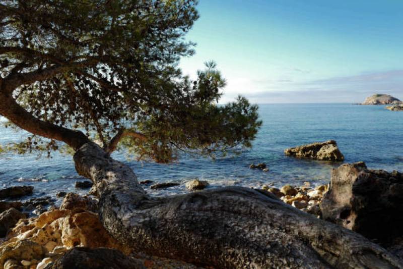 Réserver un logement de vacances  à proximité de Cassis dans les Bouches du Rhône