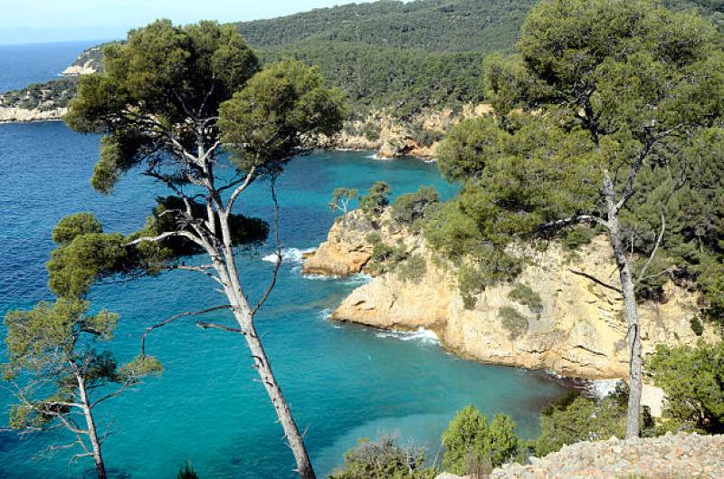 Tarif pour location de vacances au bord de la mer dans le secteur de Toulon, Var (83)