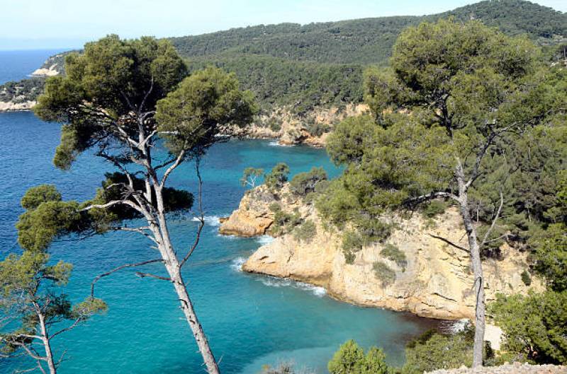 Appartement à louer pour les vacances de Pâques à Bandol dans le Var
