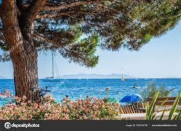 Location d'un appartement avec piscine chauffée pour profiter du soleil à Bandol
